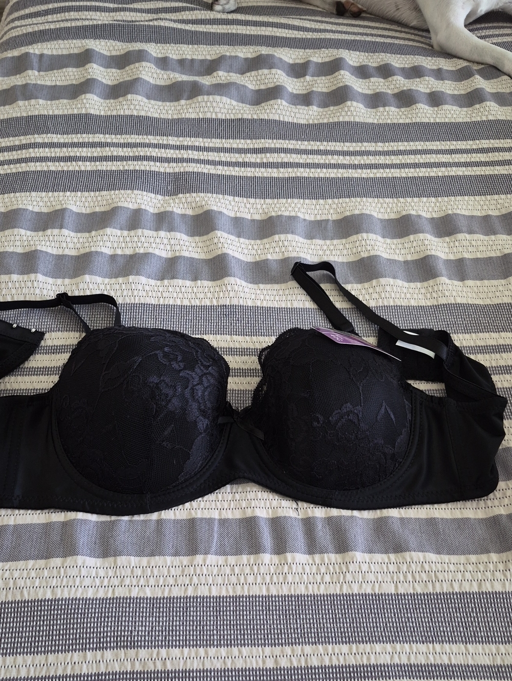 Classic Black Lace Underwire Bra with Supportive Cups